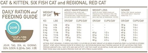 Orijen Regional Red Gato
